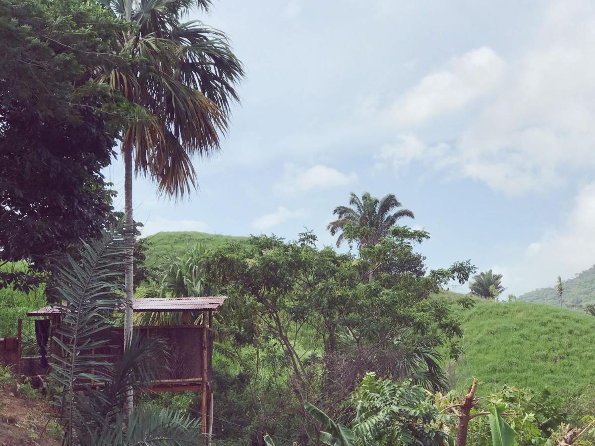 The Valley Tayrona Hostel- A Social Jungle HostZaino Exterior foto
