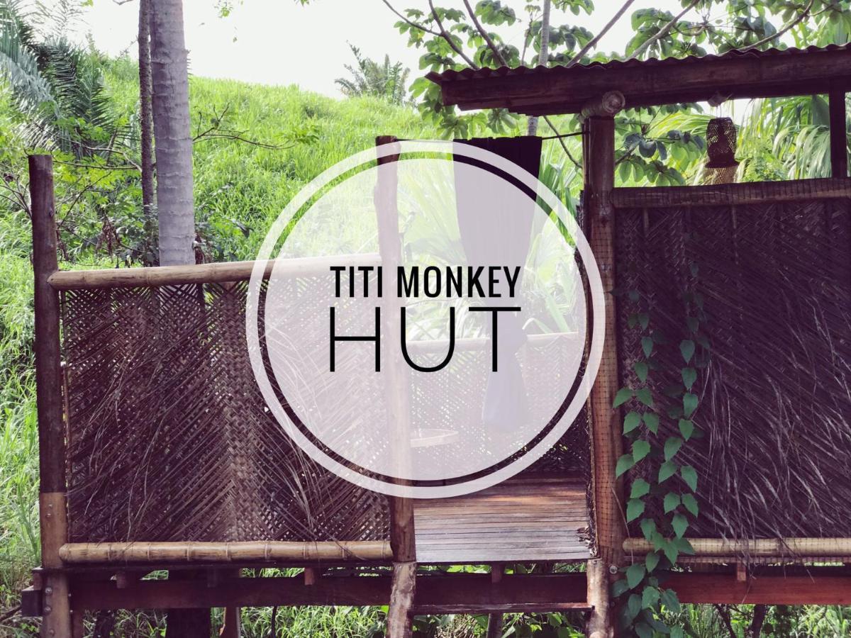 The Valley Tayrona Hostel- A Social Jungle HostZaino Exterior foto