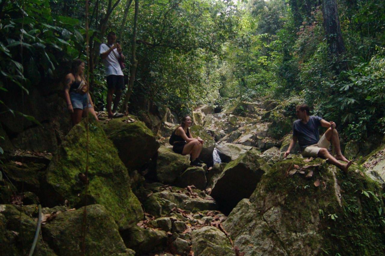 The Valley Tayrona Hostel- A Social Jungle HostZaino Exterior foto