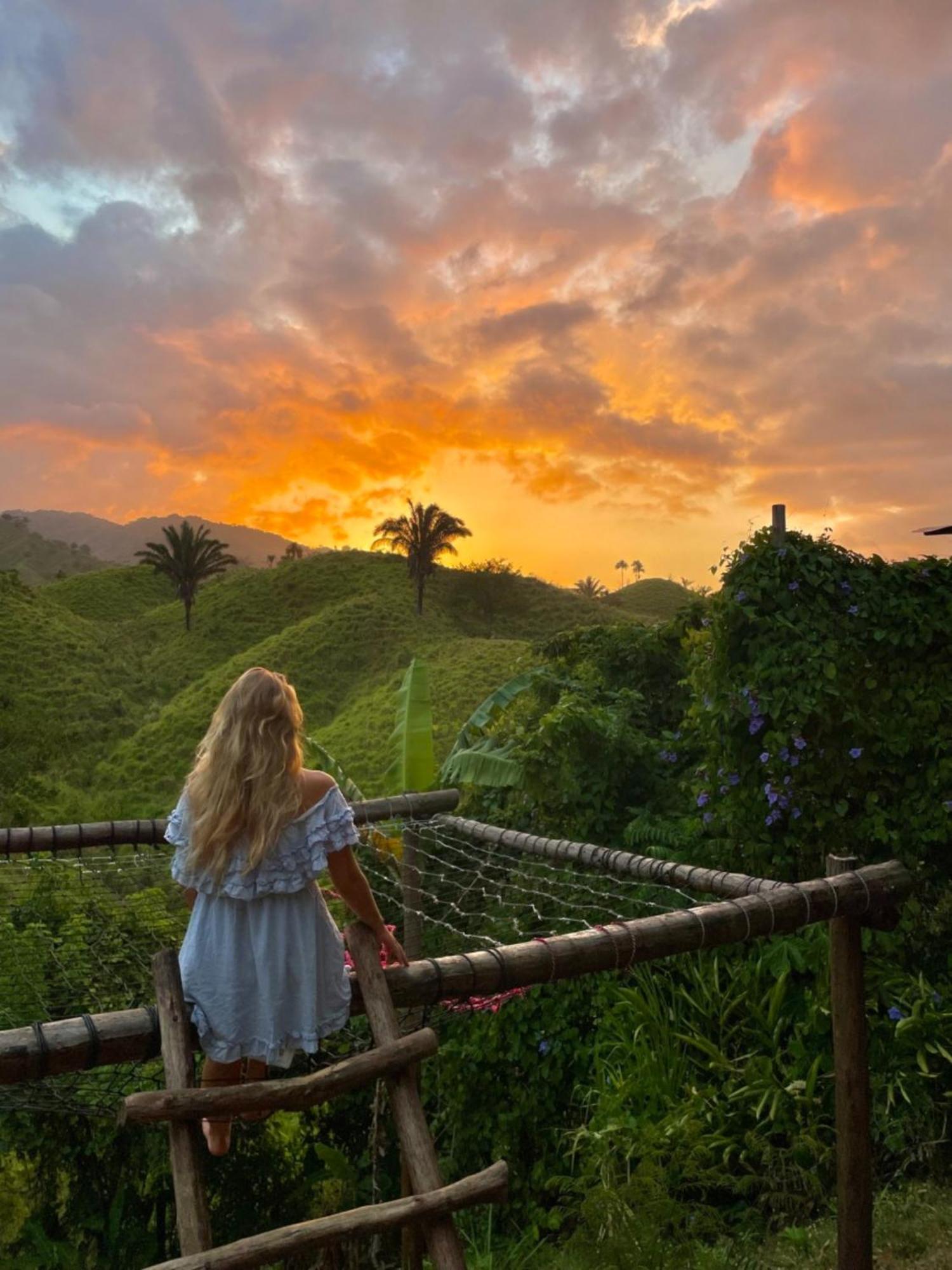 The Valley Tayrona Hostel- A Social Jungle HostZaino Exterior foto