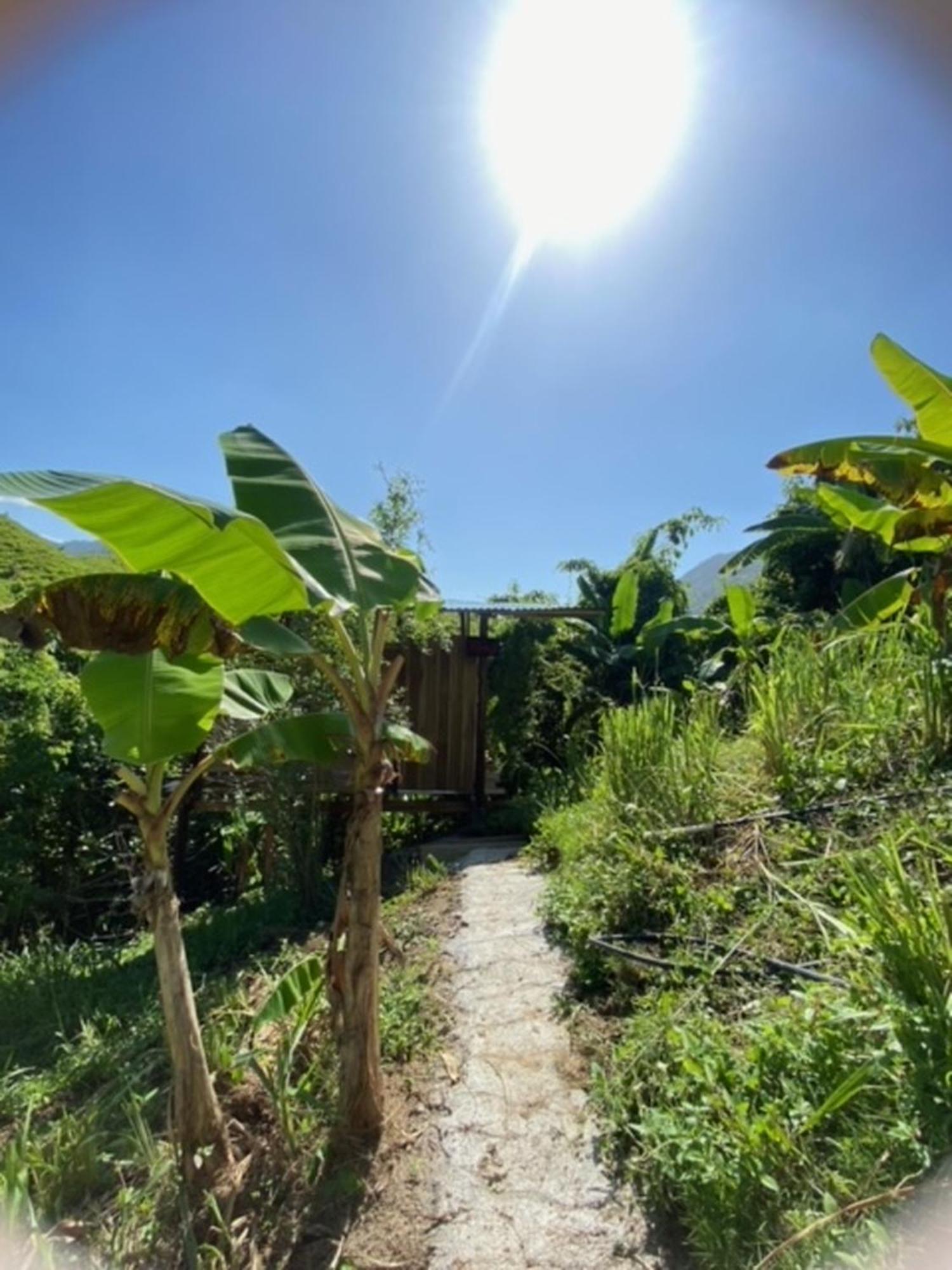 The Valley Tayrona Hostel- A Social Jungle HostZaino Exterior foto