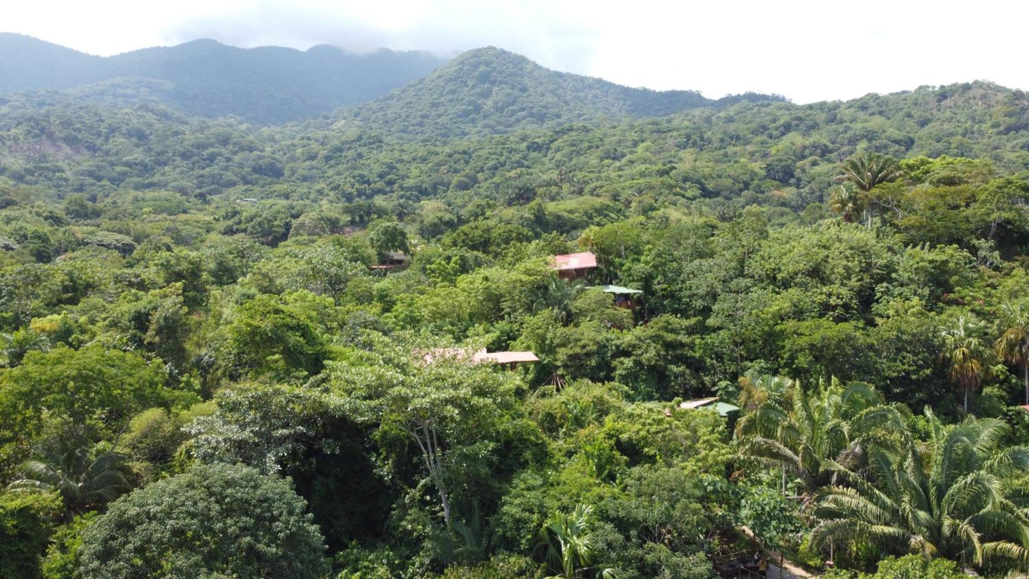 The Valley Tayrona Hostel- A Social Jungle HostZaino Exterior foto