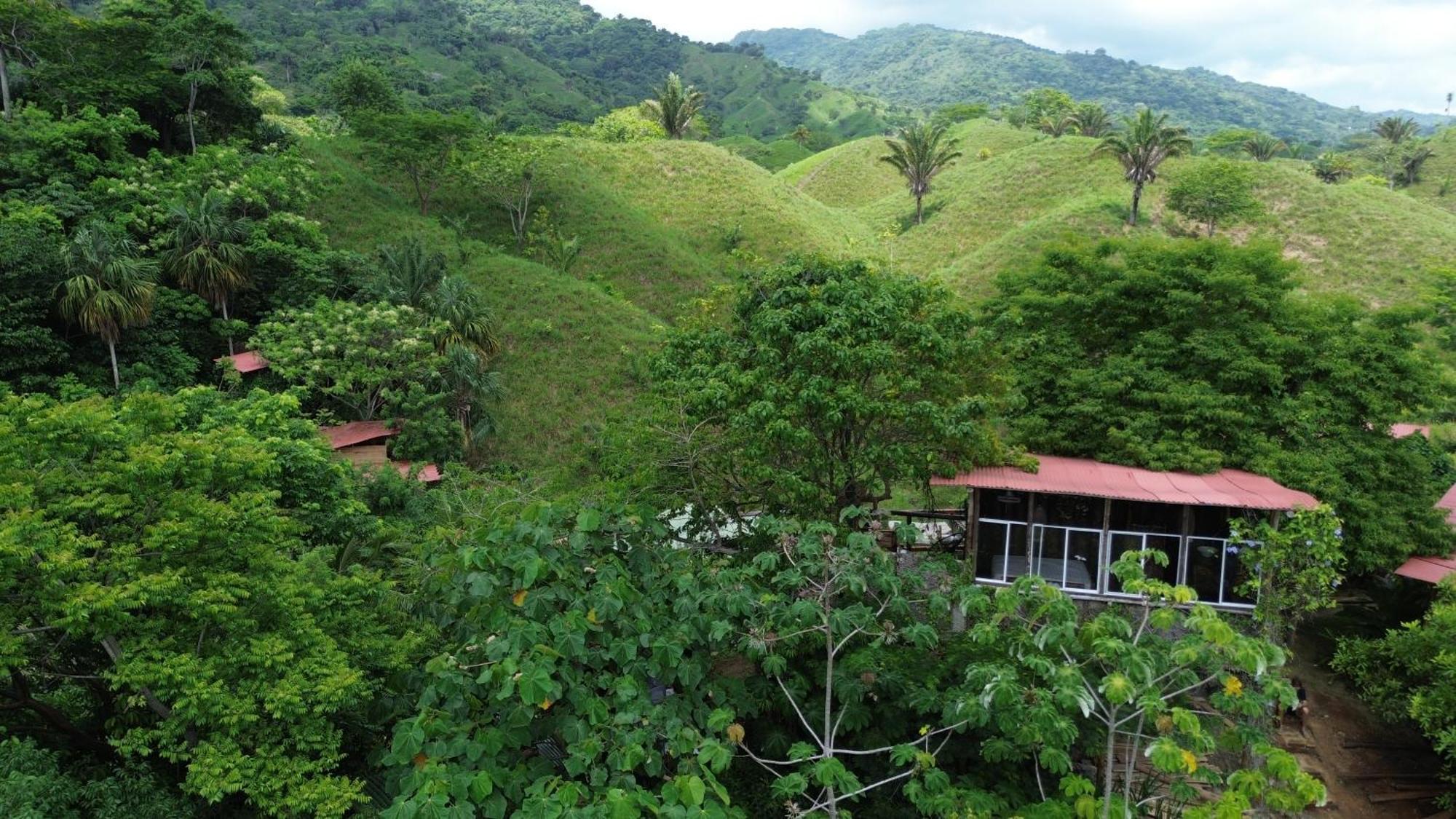 The Valley Tayrona Hostel- A Social Jungle HostZaino Exterior foto