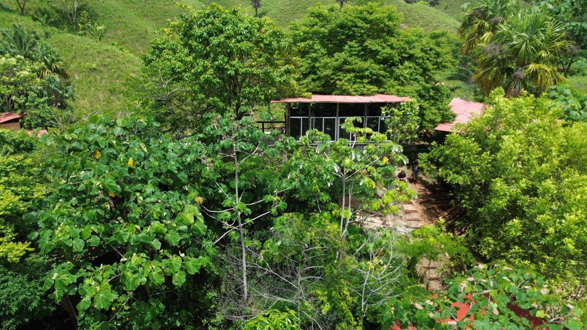 The Valley Tayrona Hostel- A Social Jungle HostZaino Exterior foto
