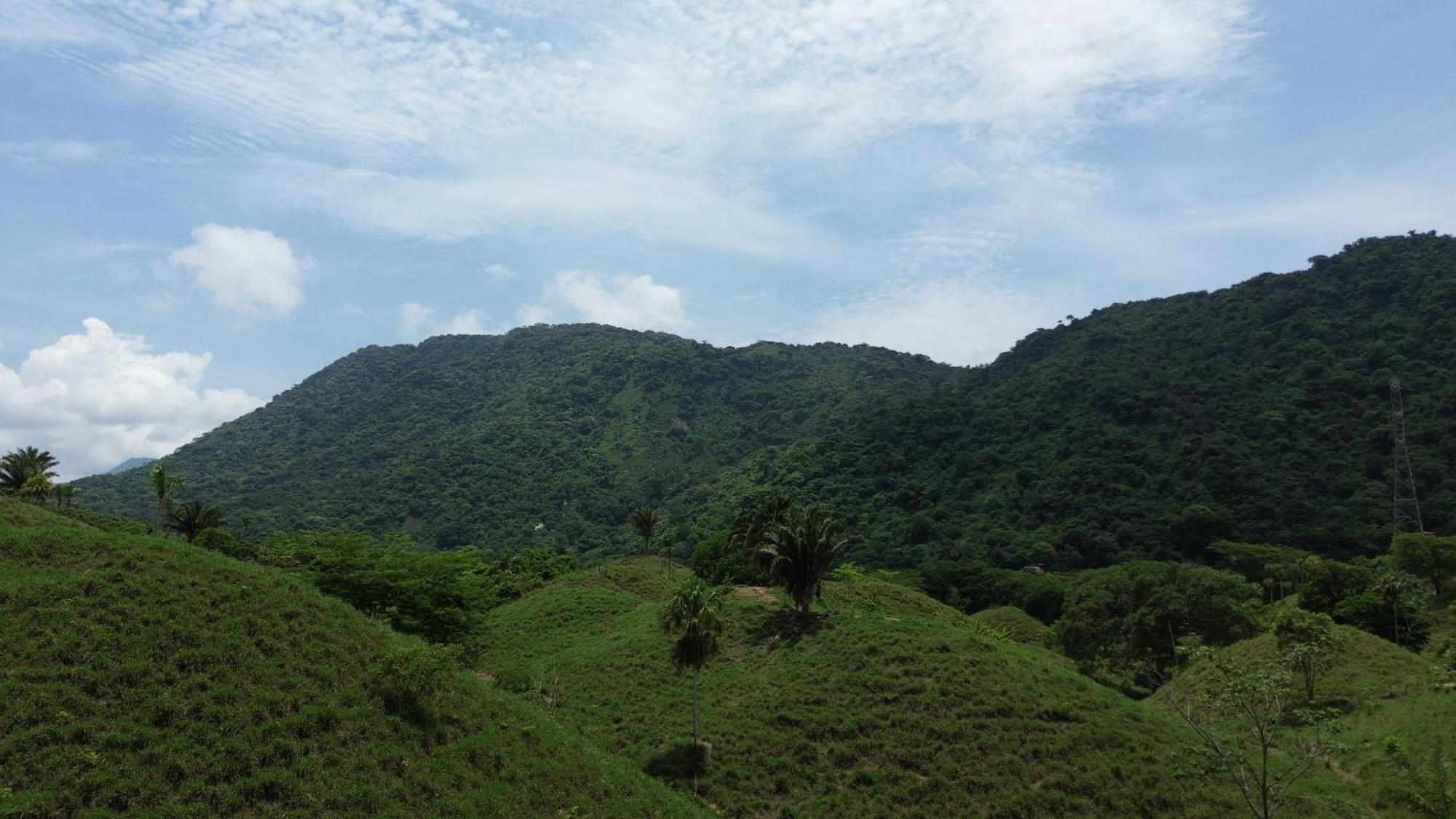 The Valley Tayrona Hostel- A Social Jungle HostZaino Exterior foto