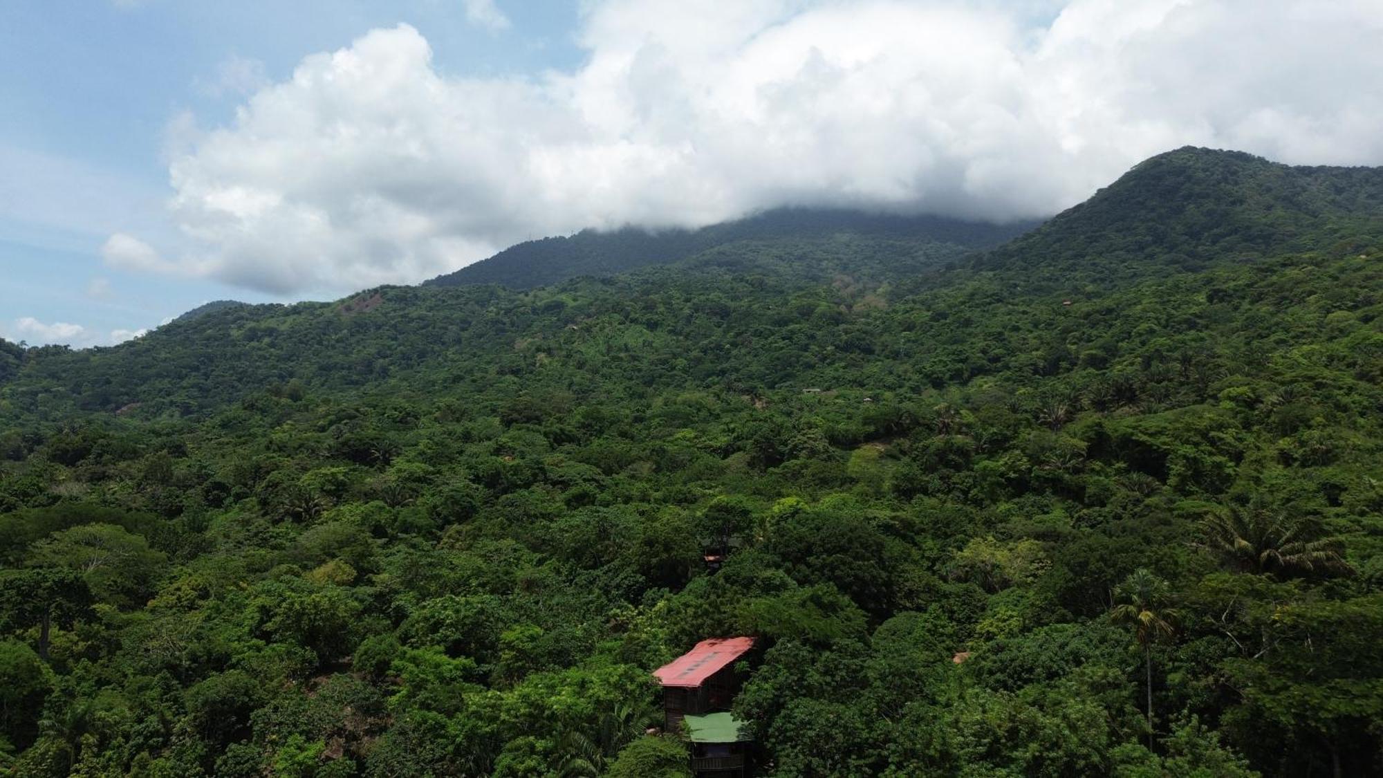 The Valley Tayrona Hostel- A Social Jungle HostZaino Exterior foto