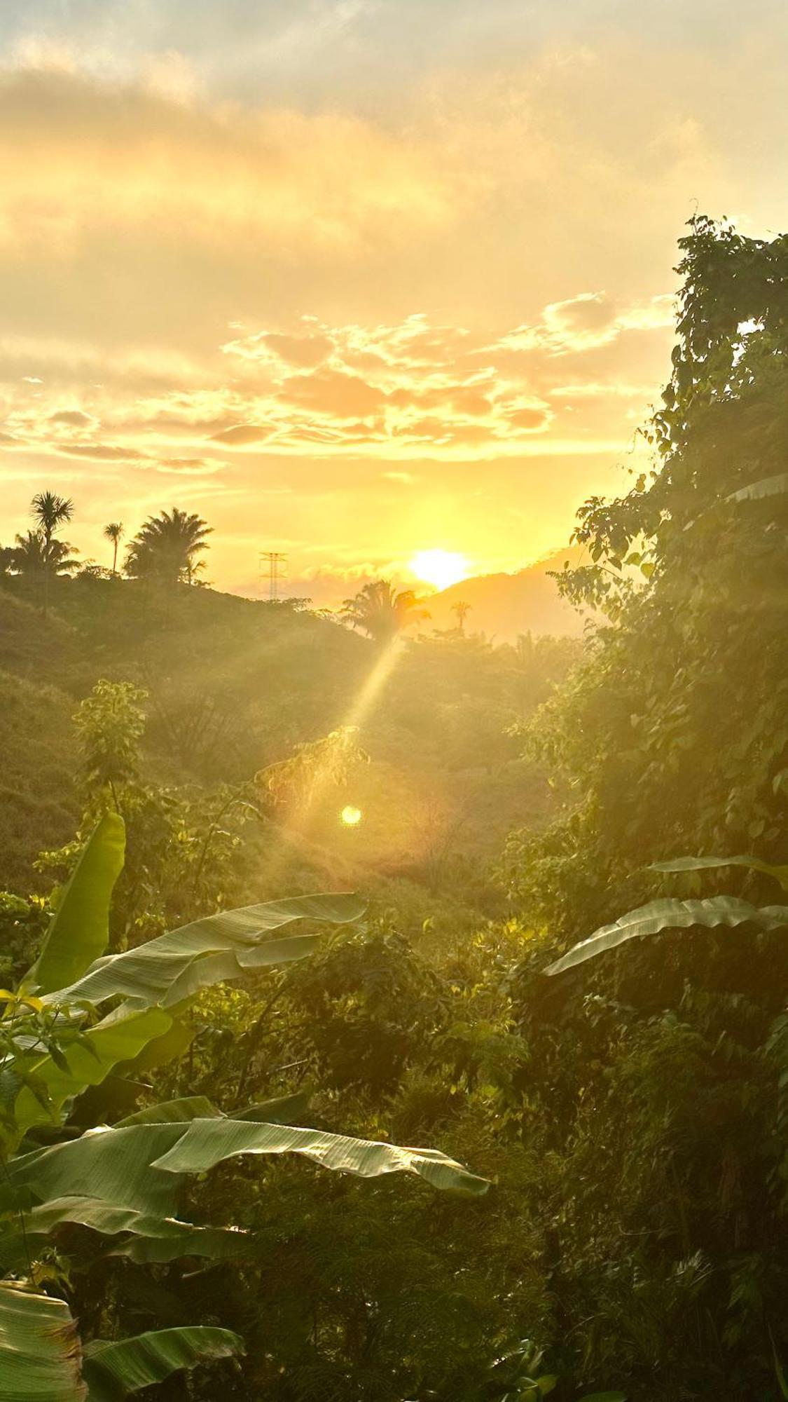 The Valley Tayrona Hostel- A Social Jungle HostZaino Exterior foto