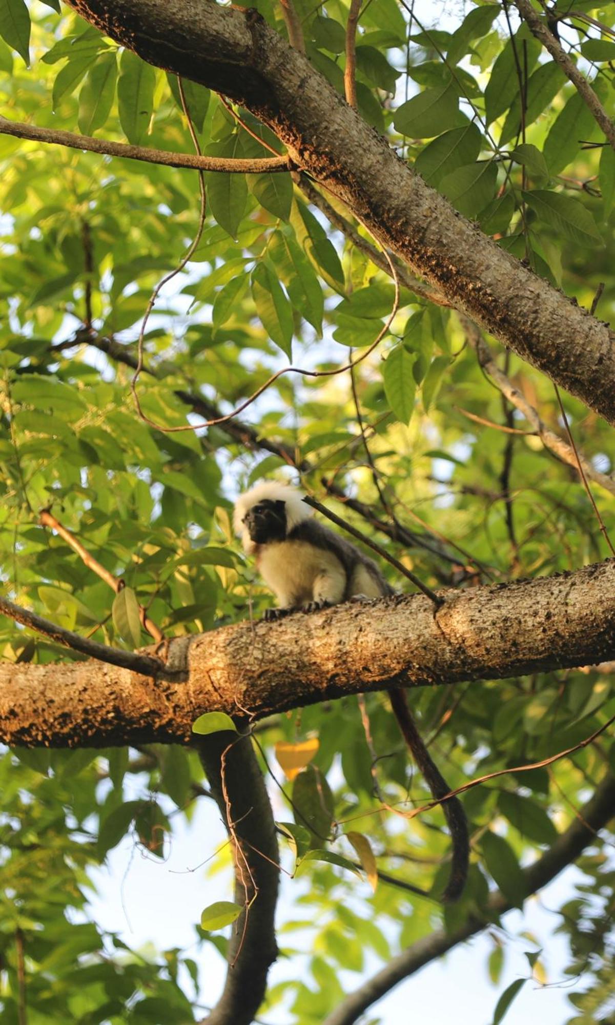 The Valley Tayrona Hostel- A Social Jungle HostZaino Exterior foto