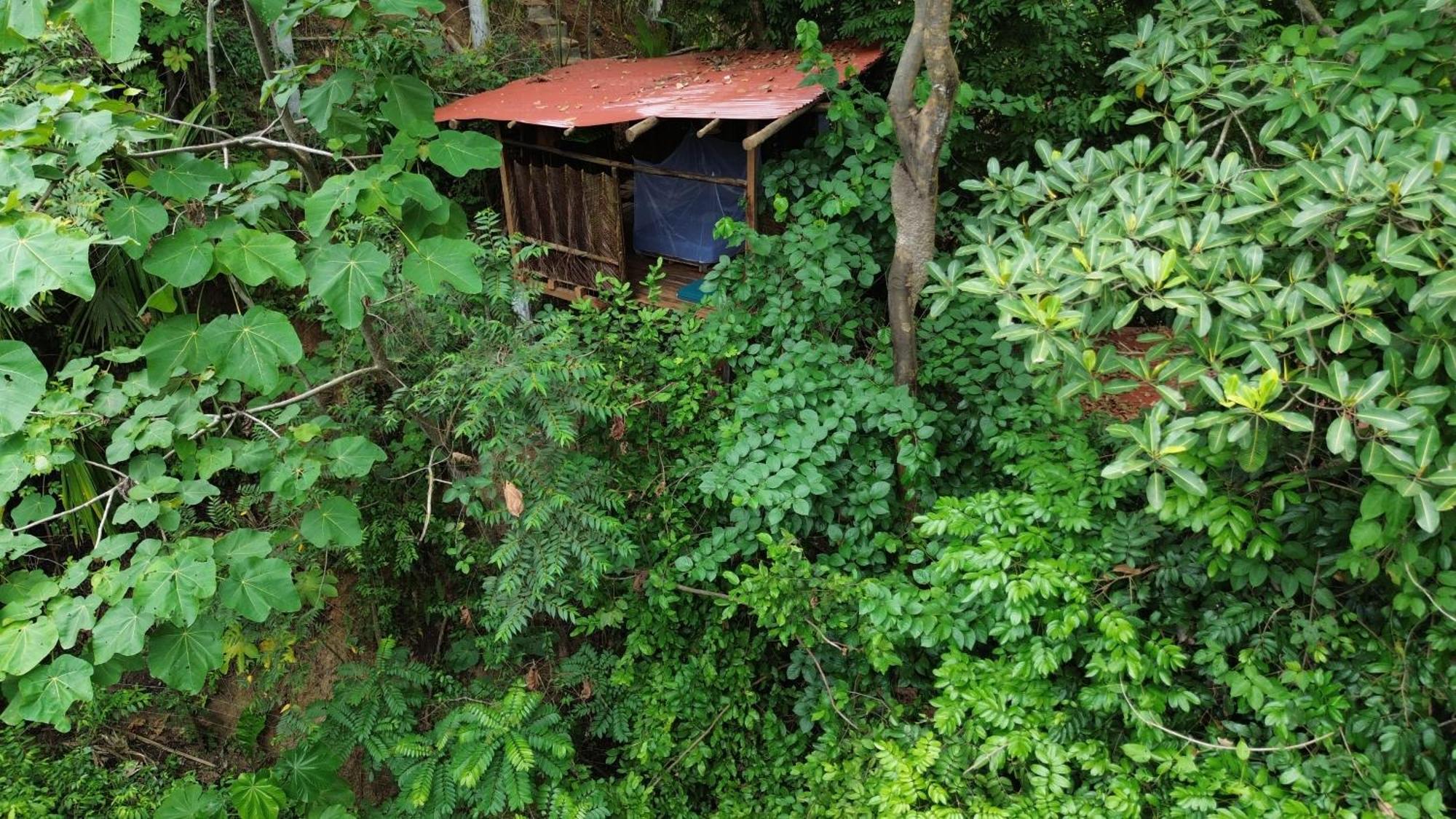 The Valley Tayrona Hostel- A Social Jungle HostZaino Exterior foto